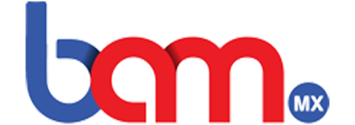 BAM Logo